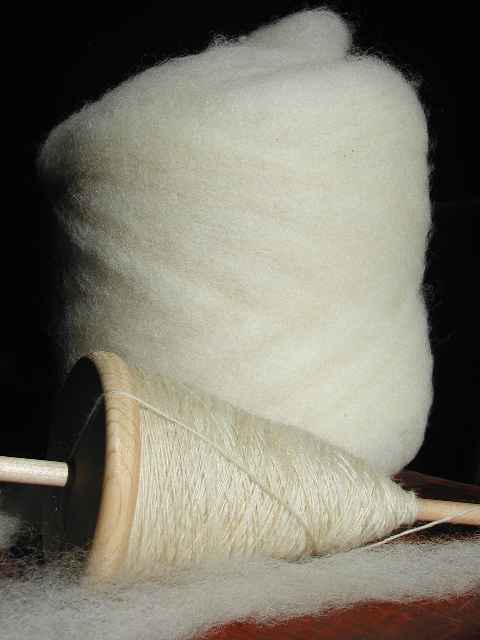 [Tunis Roving & My Drop Spindle]